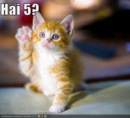 funny-pictures-kitten-asks-for-a-high-five.jpg